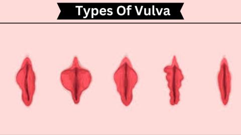 Deusa Vulva