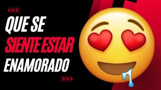 Que Se Siente Estar Enamorado