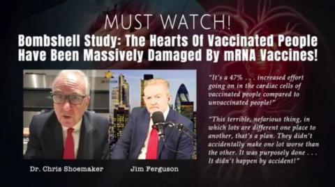 Bombshell Study: We now have 100% Scientific Proof why the Jabbed are Dying Suddenly.....
