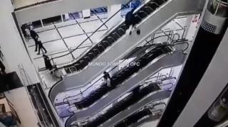 the Darwin awards