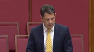 Senator Antic in parliament this week discussing gender ideology