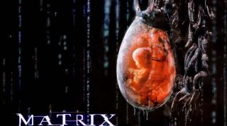 A célula mater é má!