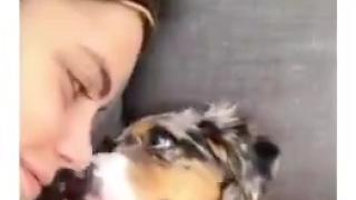 People Kissing their dogs to test their reaction