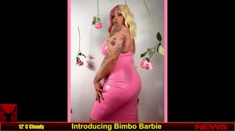 Introducing Bimbo Barbie
