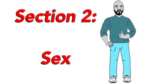 Womanese 101 Section Two Demo: Sex
