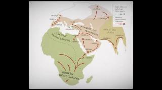 Humans vs Superhumans _ When Monsters Were Real and We Almost Went Extinct
