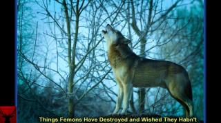 Things Femons Have Destroyed and Wished They Hadn't