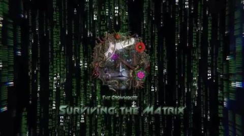 Max Igan - Mass Awareness equals Mass Depopulation