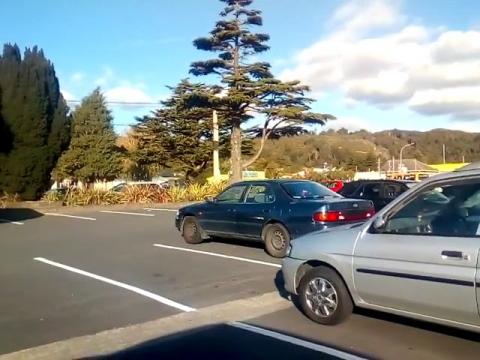 MGTOW Women in the workplace