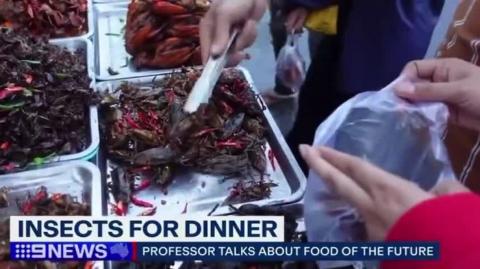Channel 9 News (Australia) (scum of the fucking earth) pushing the insect eating agenda