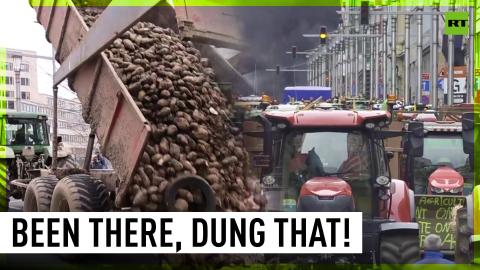 Farmers unleash poop and eggs in fight for their rights in Brussels