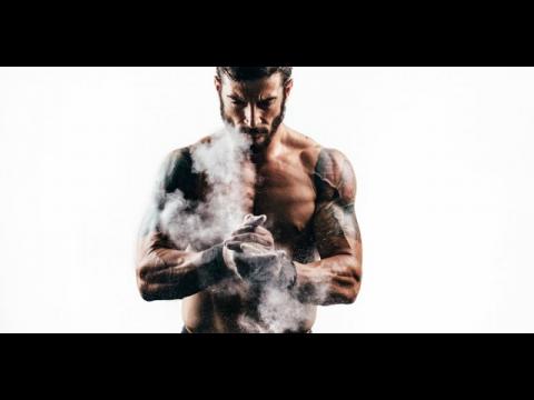 The Social Hierarchy: The Alpha Male