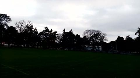 Tomi Lahren is a Misandrist Hypocrite