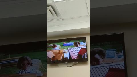 Who Puts Crown Molding on a Drop Ceiling?