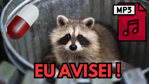 AS MELHORES REDPILL DO MESTRE RACCOON !