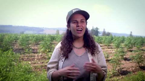 Marijuana THC vs CBD- CBG- CBN What’s the difference What are health benefits of each - see pinned comment.