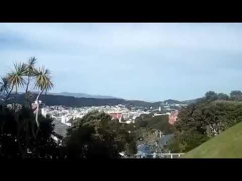 Toxic Femininity in the Workplace