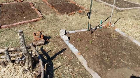 Styxhexenhammer Garden Update 3-30-2024: New Bed, Dictamnus Alba, Plans
