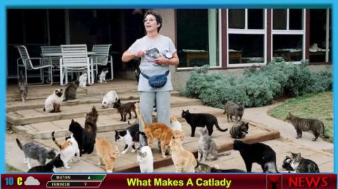 What Makes A Catlady