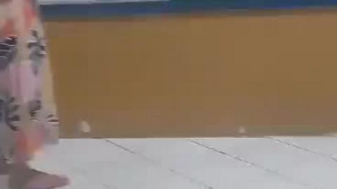 Jovem prodígio do sistema educacional chimpanzeiro