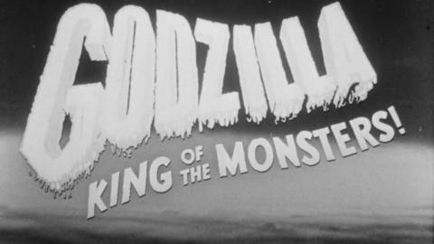 Godzilla - King of the Monsters  - A Most Excellent Movie