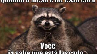 Red pill Raccooning Raccoon MGTOW Parte 1