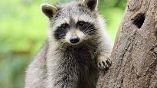 UMA DURA VERDADE SOBRE A POLITICA QUE VAI EXPLODIR SUA MENTE.