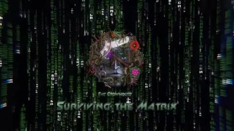 Observations on Reality