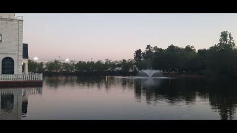 Year Of The Chameleon Part 23 - Mgtow