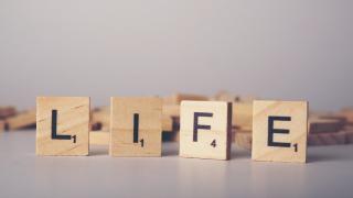 Starter Career | What To Do When You Don't Know What To Do In Life