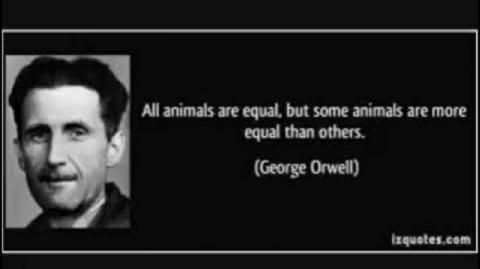 RACCOONING RACCOON - A IMORALIDADE DA ESQUERDA E O RELATIVISMO MORAL