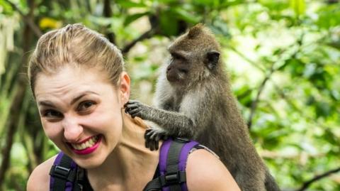 Monkeys attack nigga punching a woman in NY. Good monkeys.