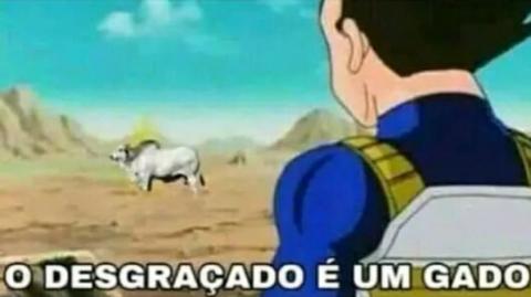 CCOONEWS - GADOS LIVRES, OS HOMENS PODEROSOS CRIAM OS TEMPOS