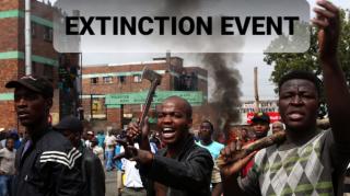 Niggas need to face extinction.