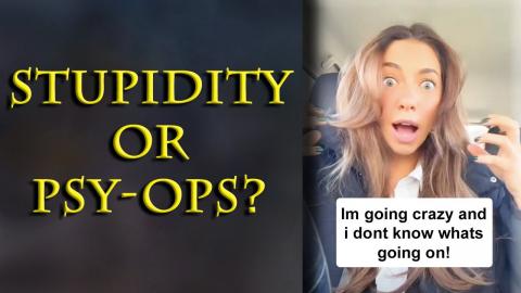 You'd almost believe women are programmed by TikTok and the government against men.