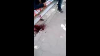 Leaking genepool - fukk