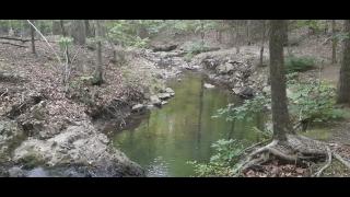 The Worst Ones Part 8 - Mgtow