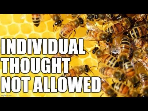 Why Feminism Won't Permit Women to Think Outside Feminism