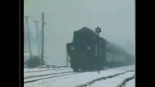 Victor Thorn - The Holocaust is all jew cult lies - he did the research and crunched the numbers.