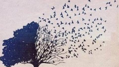 A Vida é mudança! Por isso, não curto viver!