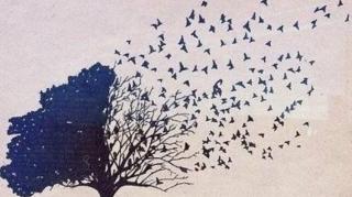 A Vida é mudança! Por isso, não curto viver!