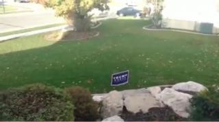 Libtard couldn't resist electrified Trump sign