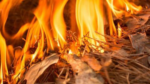 O CONTRATO "FOGO DE PALHA"!