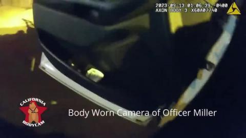 Boss Babe, Tits Nippleton, Pinched! Film At... Right Now.