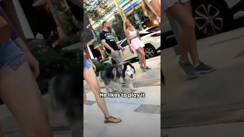 my puppy thought you were cute