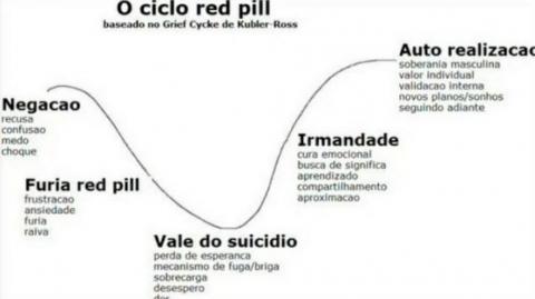 RACCOONING RACCOON - PILULAS, CICLO RED PILL E NOVATOS