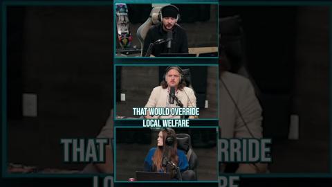 Timcast IRL - Cloward-Piven Strategy Aims To OVERWHELM Welfare System To Ensure UBI #shorts