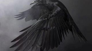 KORVOS, O BLACKPILLADOR - SEUS PAIS FERRARAM COM VOCÊ