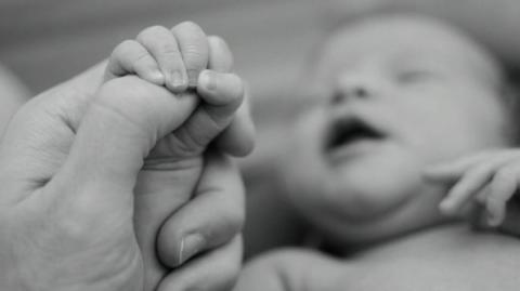 KORVOS, O BLACKPILLADOR - NÃO TER FILHOS, UM CÁLCULO SIMPLES