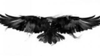 KORVOS, O BLACKPILLADOR - PAI SOLTEIRO TÊM QUE SE FØD€R